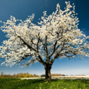 grumpycloud-s avatar