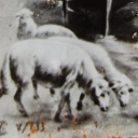 grungytiredcryptid avatar