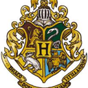 gryffindorfightingheart avatar