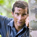 grylls-the-bear avatar