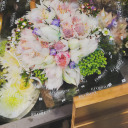 gsnoveladventures avatar