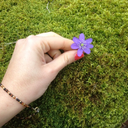 guardacometivesto avatar