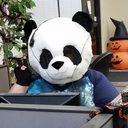 guardian-of-hope avatar