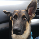 guardianofalostsoul avatar