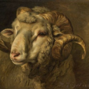 guardians-aesthetics avatar