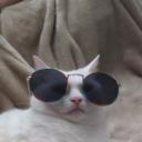 guccidishtowel avatar