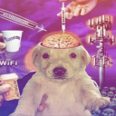 guerillawarfare555 avatar