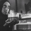 guerrepudiche avatar