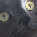 guess-its-just-me avatar