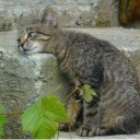 guessimherenow1 avatar