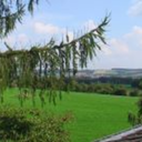 guide2germany avatar