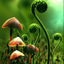 guildofmonsters avatar