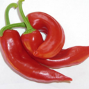 guindillapicante avatar