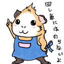 guineapigfashion avatar