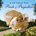 guineapigprideandprejudice-blog avatar