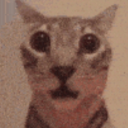 guitarepicgrey avatar