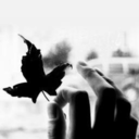 gulsenozdemir avatar