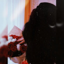 gulyaradjabli avatar