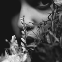 gulzar-e-ifrah-blog avatar