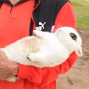 gummy-soft-smile avatar