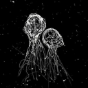 guneyyildizii avatar