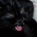 guns-and-ghosts avatar