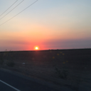 guns-nd-roses avatar