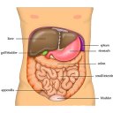 gut-feeling-offical avatar