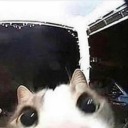 gutzsplash3rrr avatar