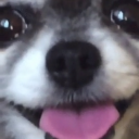 guy-with-a-soul avatar