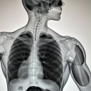 guyswthumpyhearts avatar