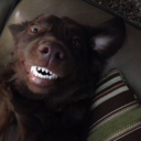 guywholikesdoors avatar