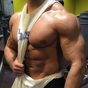 gymdoucheaesthetic avatar