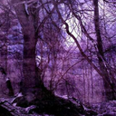 gypsygoddessdiana avatar