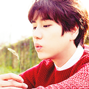 gyuhyuns avatar