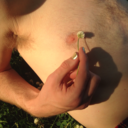 h-o-r-s-e-k-i-d avatar