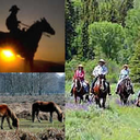 h0rsesftw-blog avatar