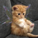 h0w-1-wanna-l1v3 avatar