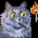 haartebeest-archive avatar