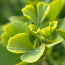 habitualfears avatar