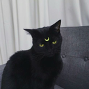 habitualtears avatar