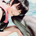 hachidoren-blog avatar