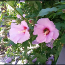 haddou94-blog avatar