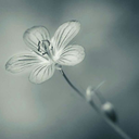 haengboge-blog avatar