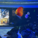 hahaha12123445 avatar