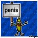 haikugetusedtothis avatar