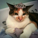 hail-mary-forgiveme avatar