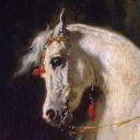 hail-to-reason avatar