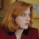 haileesteifeld avatar