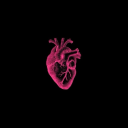 hailey-lundg19 avatar